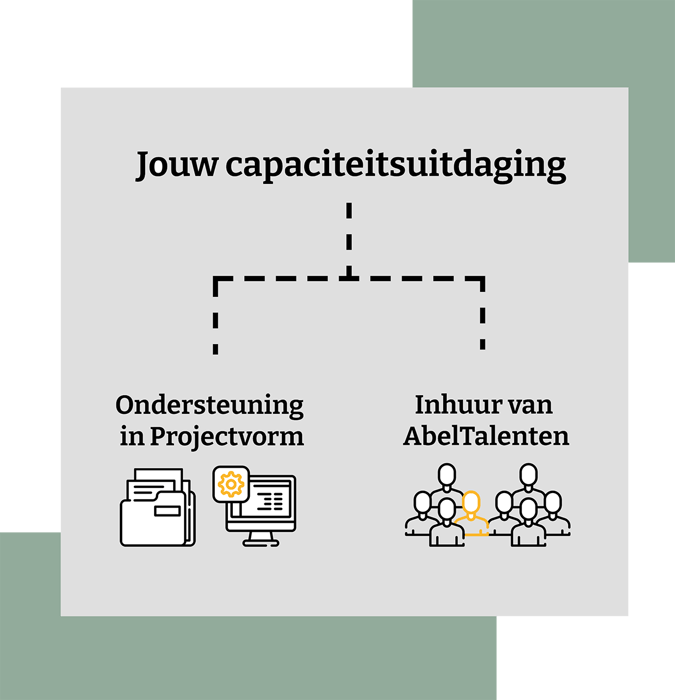 Capaciteitsuitdaging_2